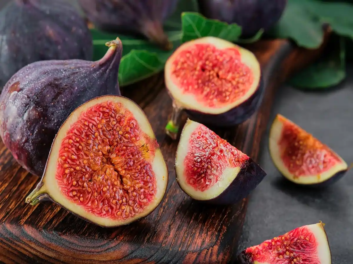 Can Dogs Eat Figs