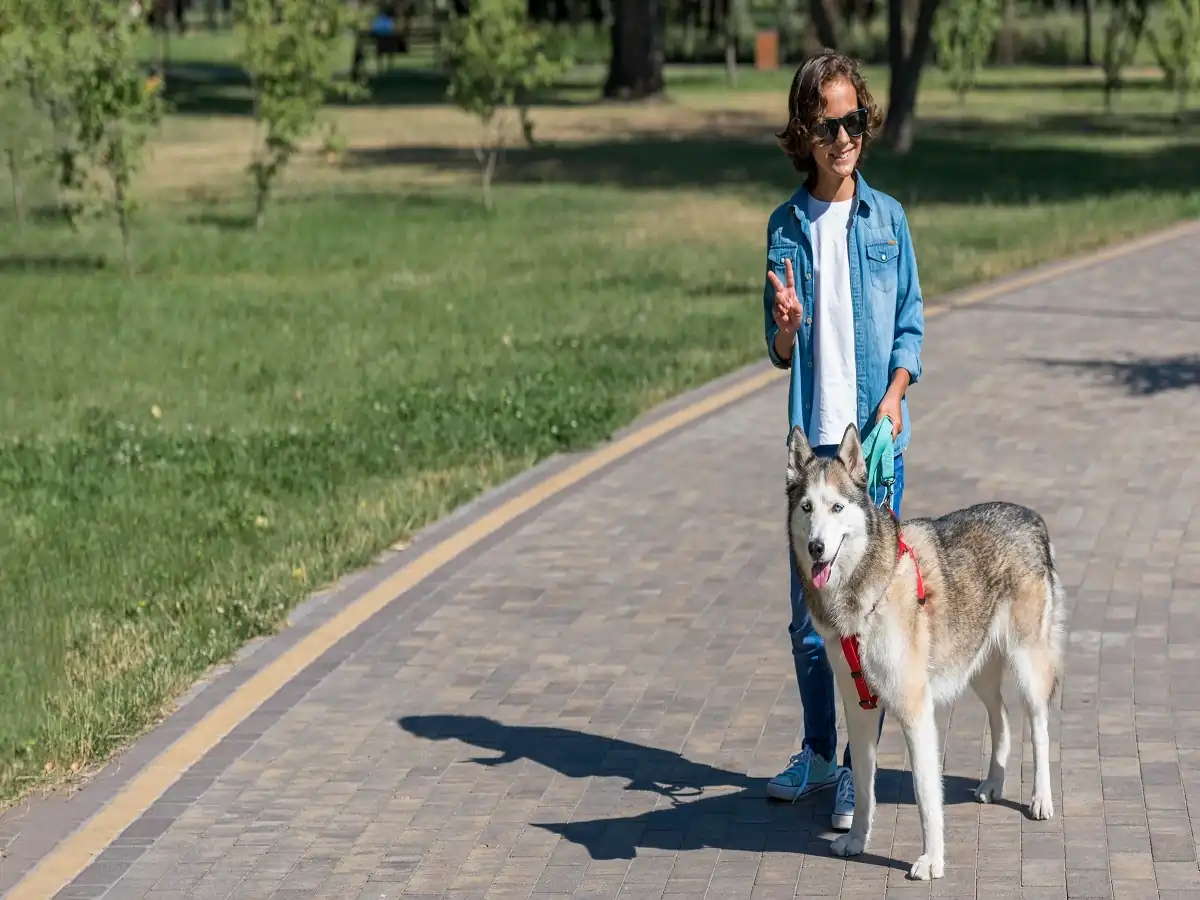 5 reasons why dogs need walks