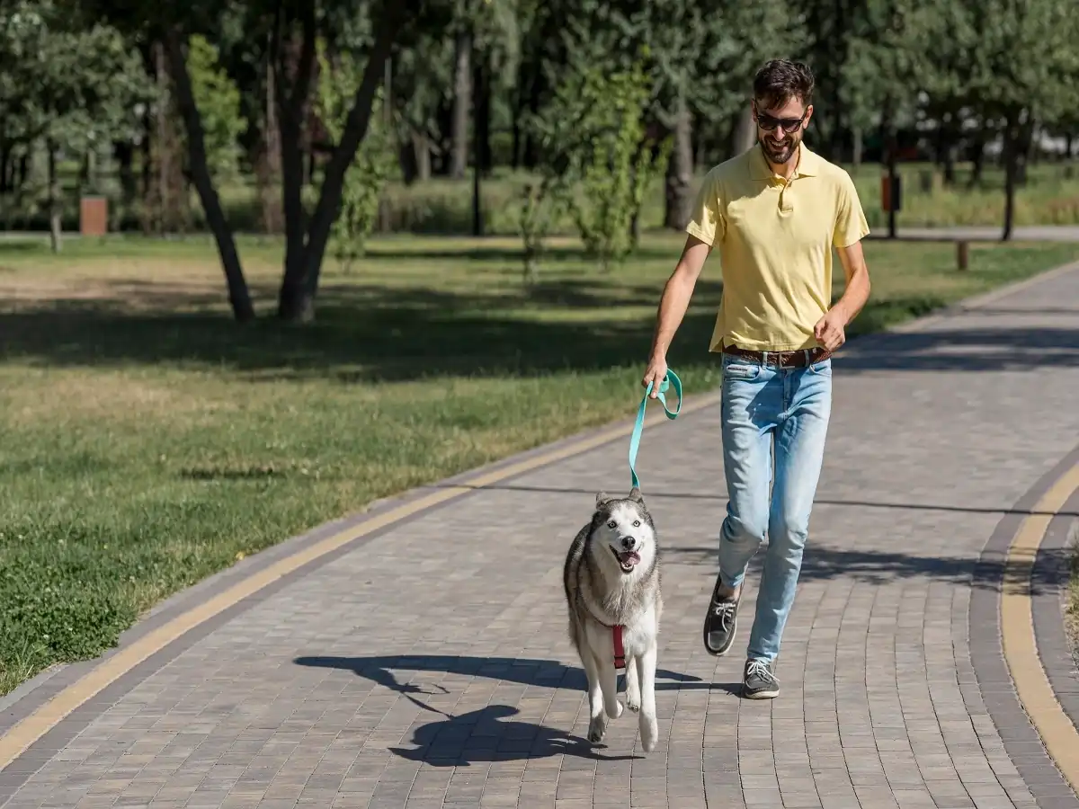 5 reasons why dogs need walks