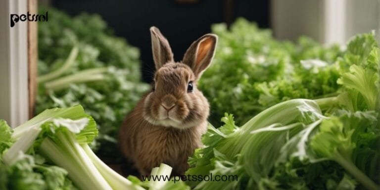 Rabbits Eat Celery