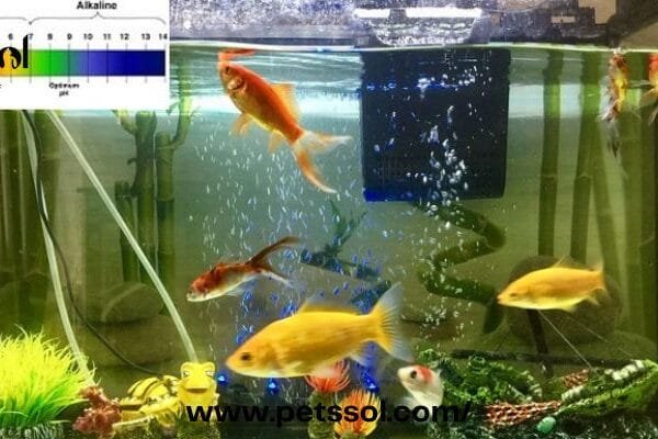 Lower pH in Fish Tank