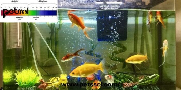 Lower pH in Fish Tank